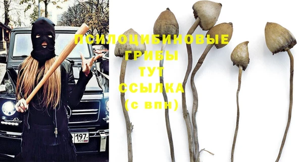 гидропоника Абинск