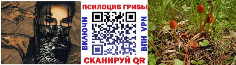 Псилоцибиновые грибы мухоморы Власиха